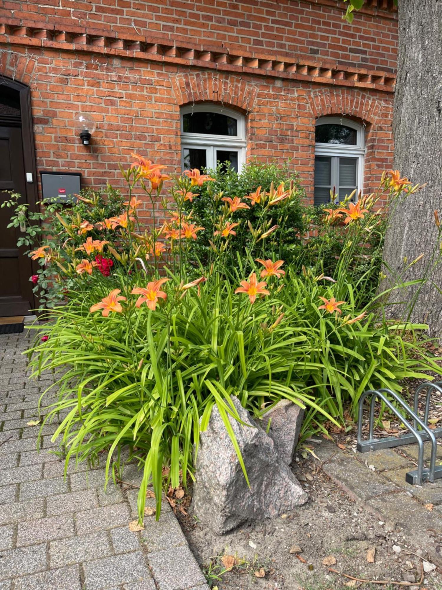 Hotel Luther Birke Wittenberg Exterior foto